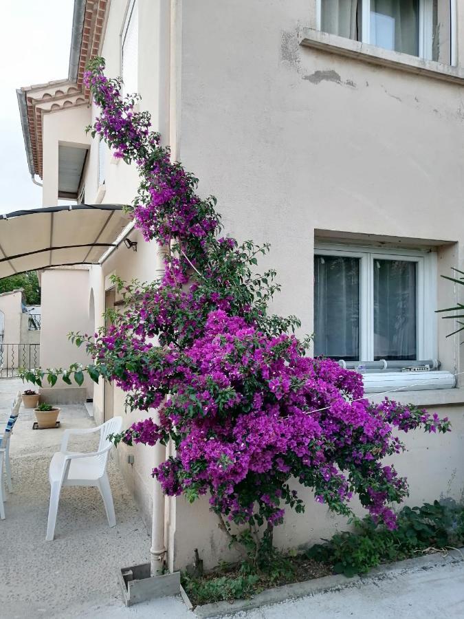 La Maison De 6Fran Appartement 2 Chaleureux Et Calme Ambiance Familiale Valros Экстерьер фото